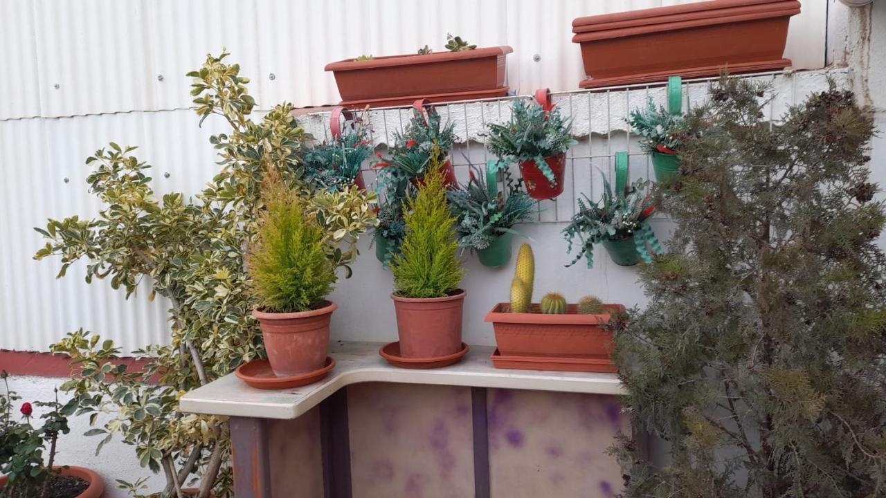 La Terraza Apartamento Vinarós Exterior foto
