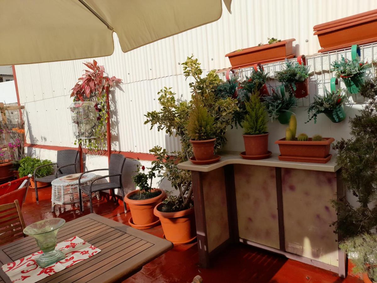 La Terraza Apartamento Vinarós Exterior foto